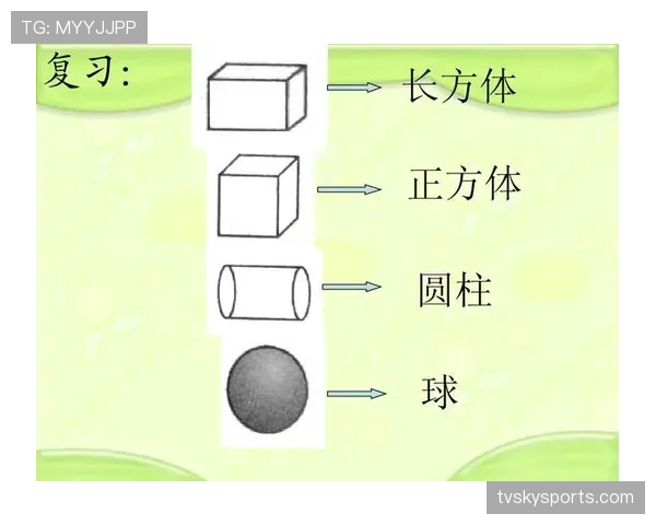 深入解析篮球圆柱体原则的含义与判定标准