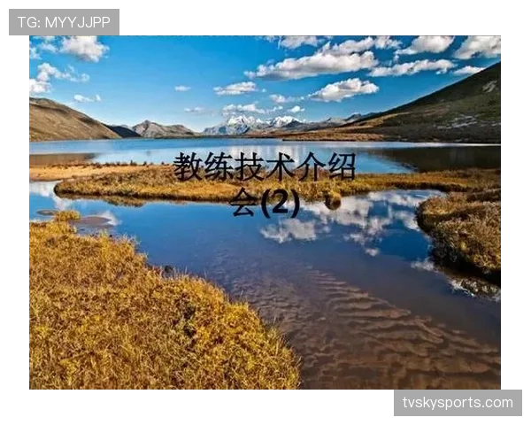 教练技术犯规规则解析：怎么判与具体处罚标准