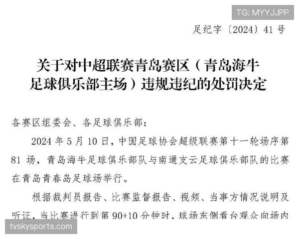 裁判报告在足球比赛中对判罚细节与规则执行的重要记录作用 裁判报告在足球比赛中对判罚细节与规则执行的重要记录作用